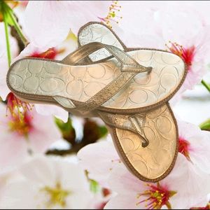 COACH BEAUTIES✨✨✨🌹